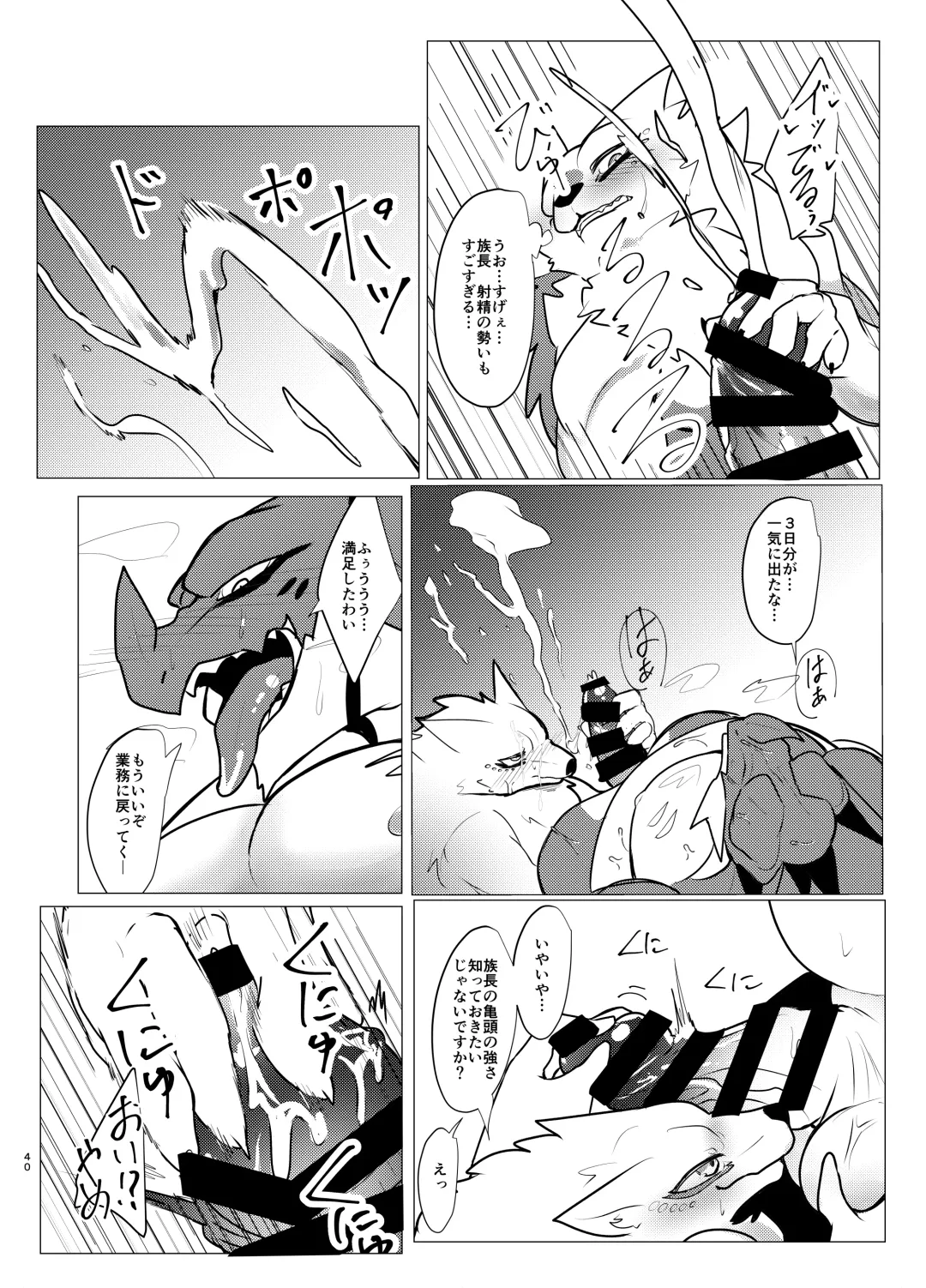 [Felta] Seijū No Gi Fhentai - Page 40