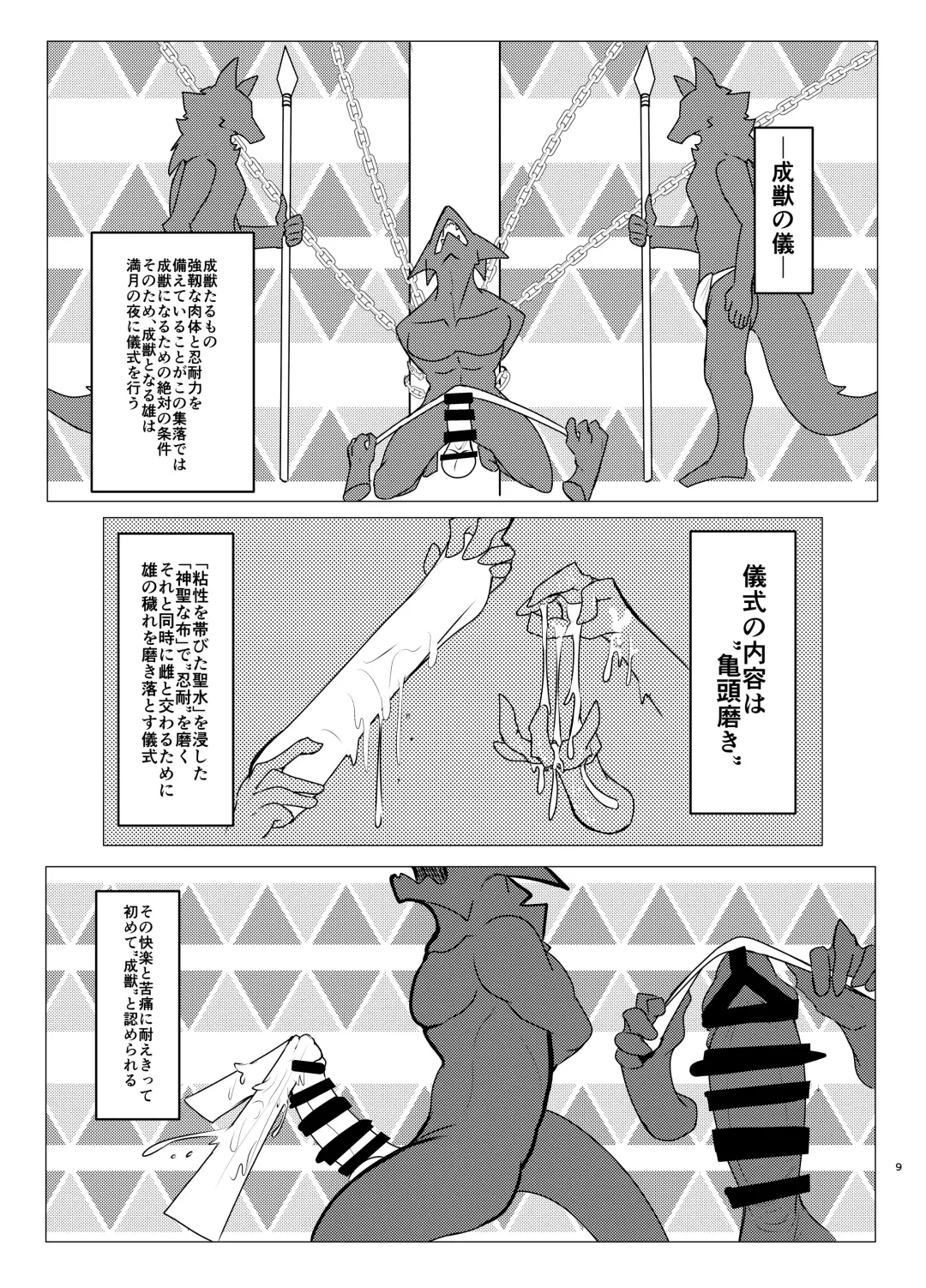 [Felta] Seijū No Gi Fhentai - Page 9