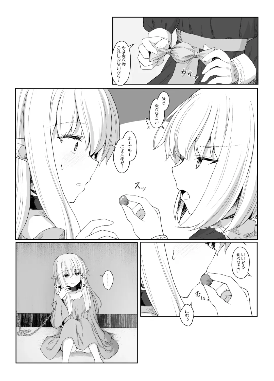 [Sasaria] Elf ga Shiawase ni Naranai Hanashi Bad End Hen Fhentai - Page 11