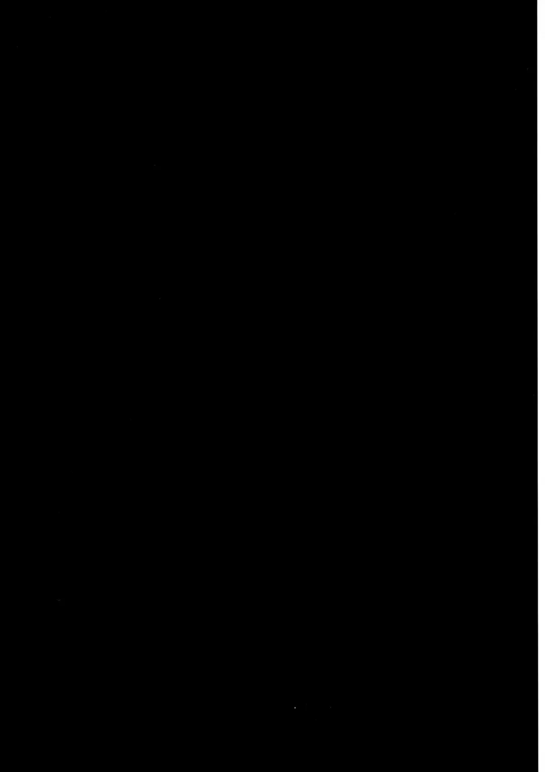 [Mayuka] Tatoeba Sore wa Bokutachi no Fhentai - Page 48