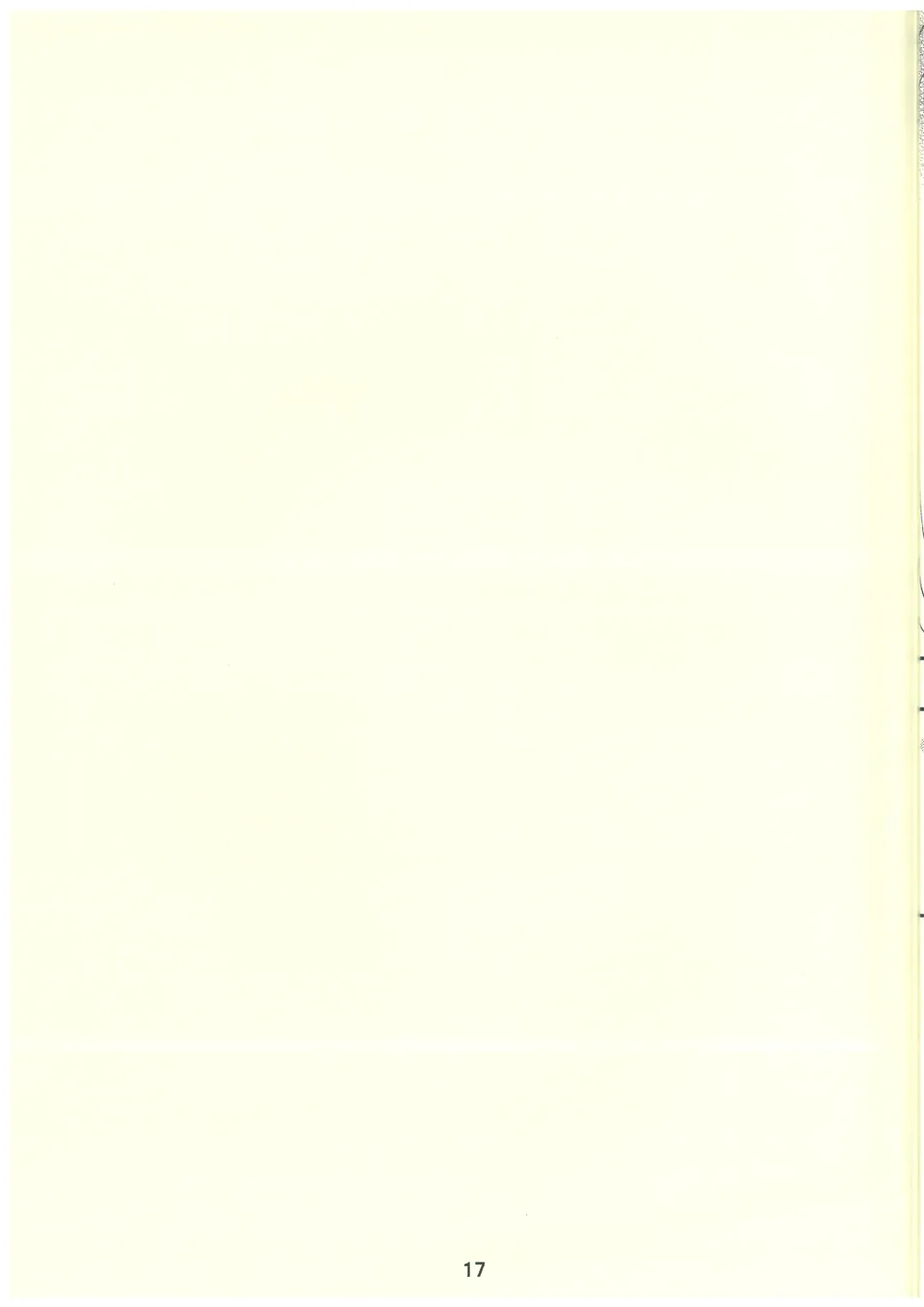 Mikakunin de  Mousou kei Fhentai - Page 17