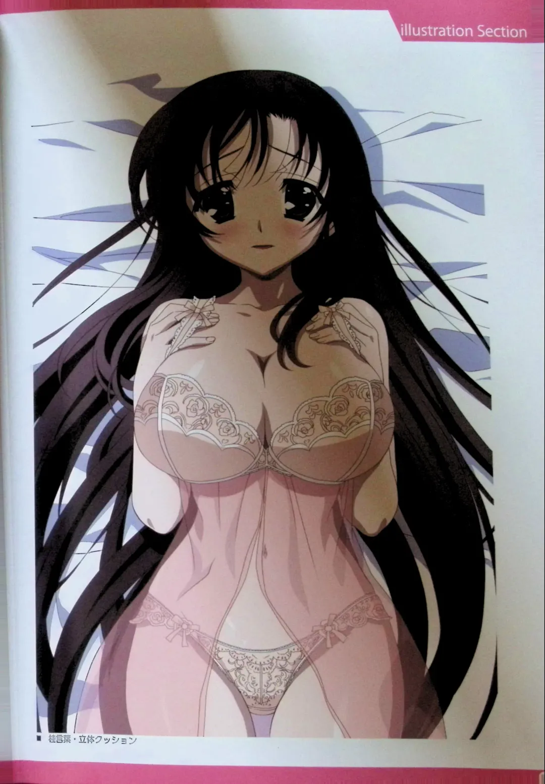 SCHOOLDAYS SERIES COMPLETE BOX  Visual Book Fhentai - Page 55
