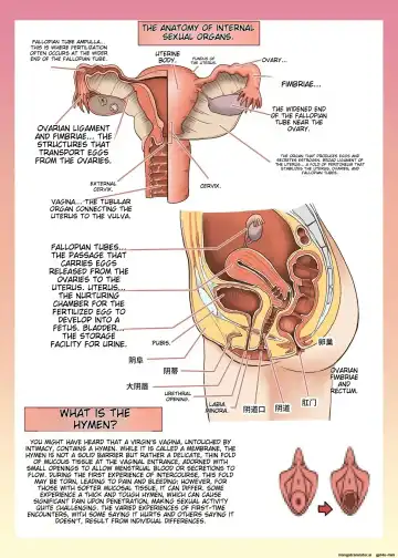 [Alexi Laiho] Maid-san to Manabu Onnanoko no Karada Fhentai - Page 16