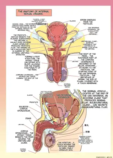 [Alexi Laiho] Maid-san to Manabu Onnanoko no Karada Fhentai - Page 26