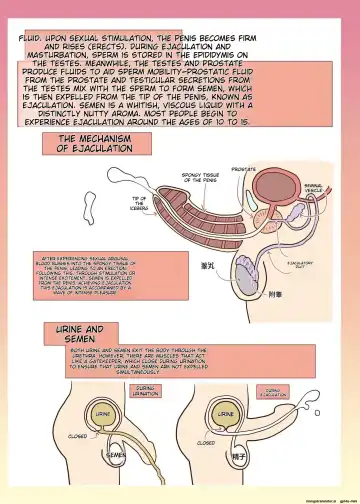 [Alexi Laiho] Maid-san to Manabu Onnanoko no Karada Fhentai - Page 27