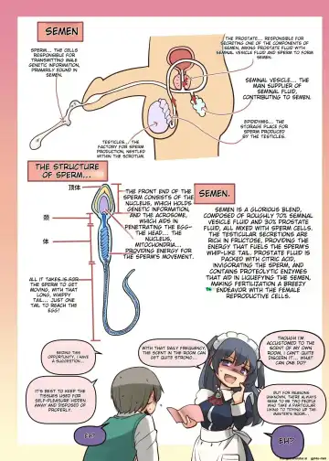 [Alexi Laiho] Maid-san to Manabu Onnanoko no Karada Fhentai - Page 38