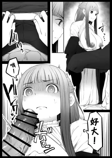 [Goma Gorilla] Genkaku Mahou (Sousou no Frieren) | 幻覚魔法 Fhentai - Page 11