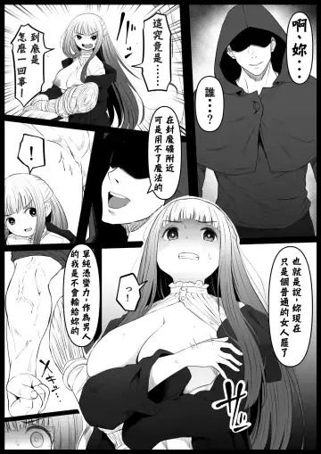 [Goma Gorilla] Genkaku Mahou (Sousou no Frieren) | 幻覚魔法 Fhentai - Page 9