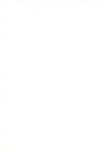 [Kaiware] Nanoda!! Fhentai - Page 19