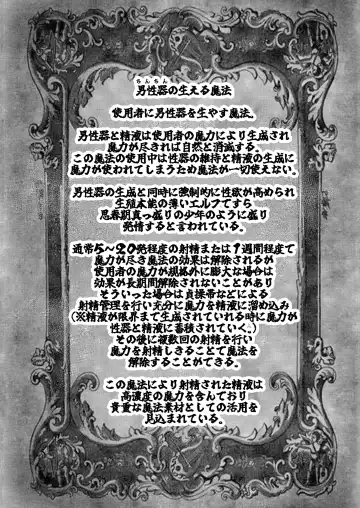 [Seema] Frieren to Chinchin no Haeru Mahou Fhentai - Page 30