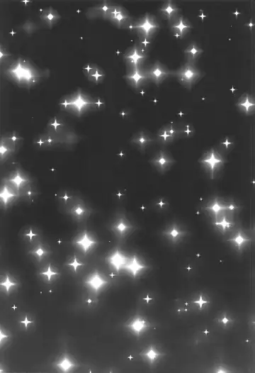 [Umino Sachi] Kyonyuu Jukujo to Koumon Seikou Fhentai - Page 145