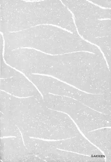 [Urushihara Satoshi] Chirality - To The Promised Land Vol.3 Fhentai - Page 185