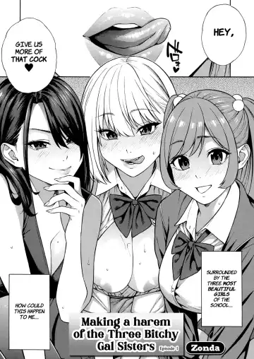 [Zonda] Making a Harem of the Three Bitchy Gal Sisters - Part 1-2 Fhentai - Page 3