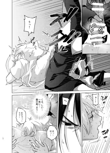 [Aimee] ひな鳥は巣には帰れない Fhentai - Page 14