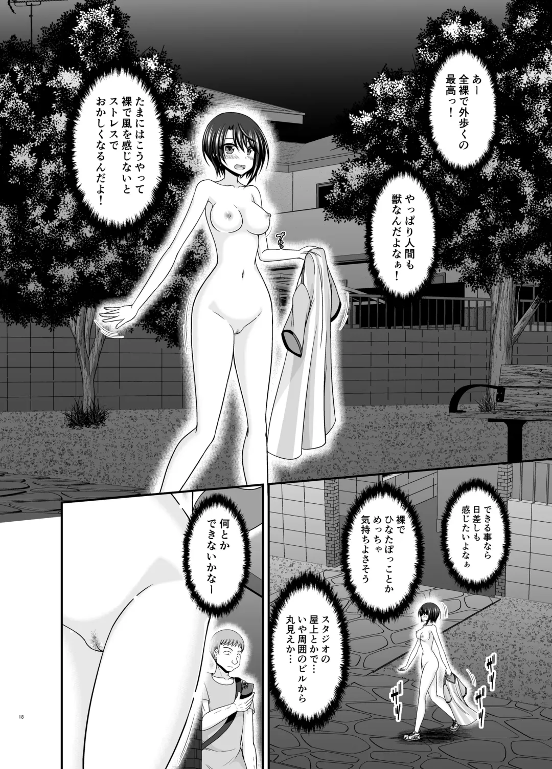 [Charu] Toaru Vtuber no Stress Kaishouhou Fhentai - Page 17