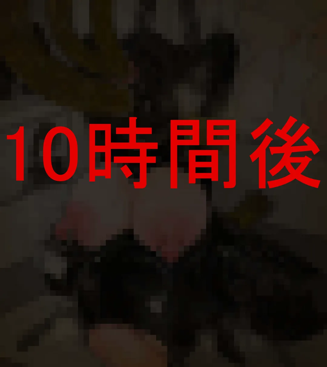 [Mac] ピクシー／pixy Fhentai - Page 37