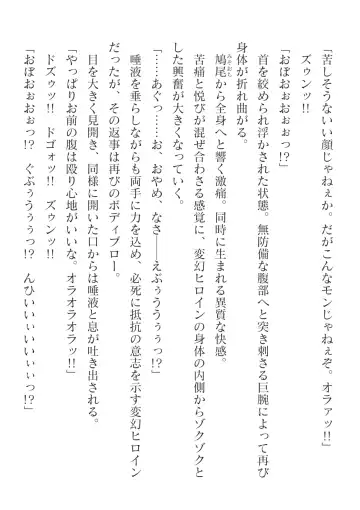 [Takahama Tarou] Hengen Souki Shine Mirage Kanbina Bouryoku ni Ochiru Seigi Fhentai - Page 18