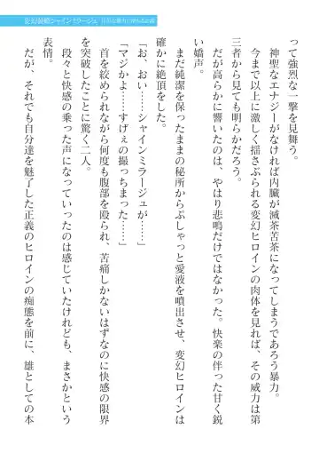 [Takahama Tarou] Hengen Souki Shine Mirage Kanbina Bouryoku ni Ochiru Seigi Fhentai - Page 21