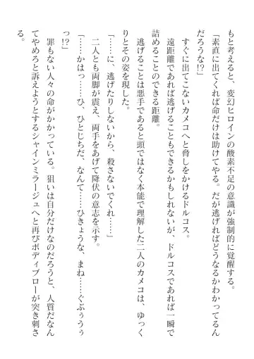 [Takahama Tarou] Hengen Souki Shine Mirage Kanbina Bouryoku ni Ochiru Seigi Fhentai - Page 24