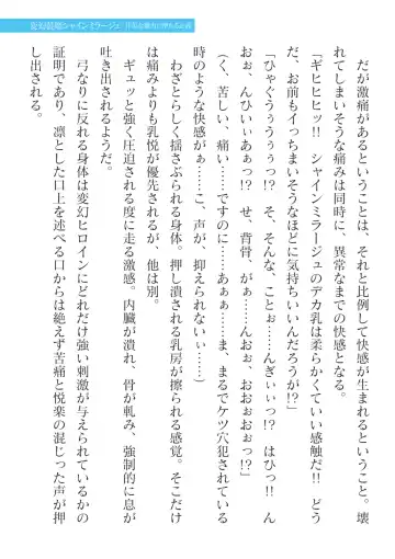 [Takahama Tarou] Hengen Souki Shine Mirage Kanbina Bouryoku ni Ochiru Seigi Fhentai - Page 29