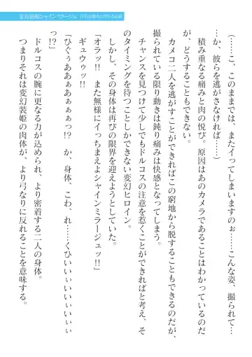 [Takahama Tarou] Hengen Souki Shine Mirage Kanbina Bouryoku ni Ochiru Seigi Fhentai - Page 31