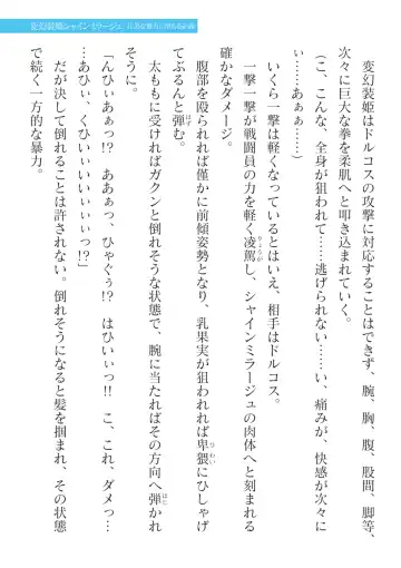 [Takahama Tarou] Hengen Souki Shine Mirage Kanbina Bouryoku ni Ochiru Seigi Fhentai - Page 39