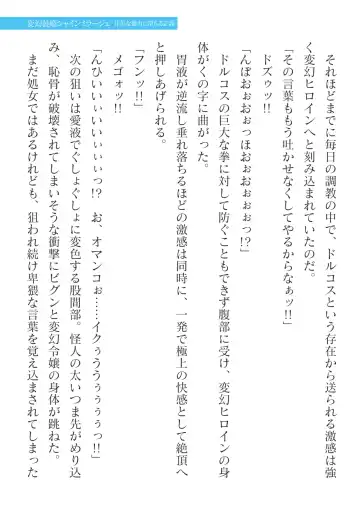 [Takahama Tarou] Hengen Souki Shine Mirage Kanbina Bouryoku ni Ochiru Seigi Fhentai - Page 77