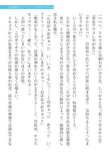 [Takahama Tarou] Hengen Souki Shine Mirage Kanbina Bouryoku ni Ochiru Seigi Fhentai - Page 87