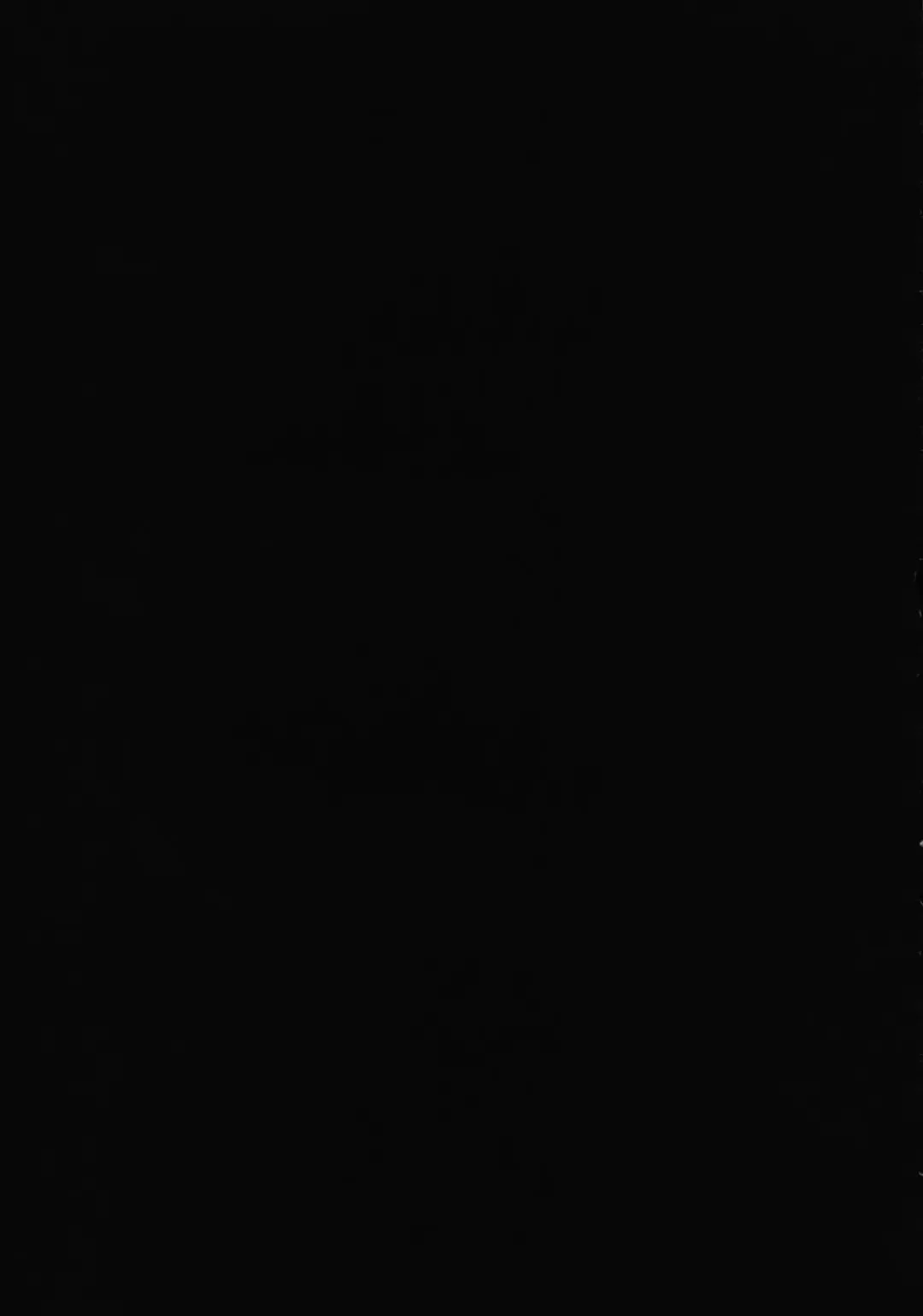 [Kimimaru] Moyomoto 4 Fhentai - Page 114