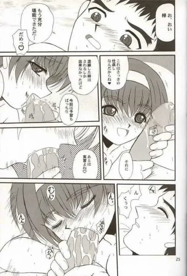 [Alpine - Cloth Tsugutoshi] WOMAN FROM TAKAYAMA Fhentai - Page 24