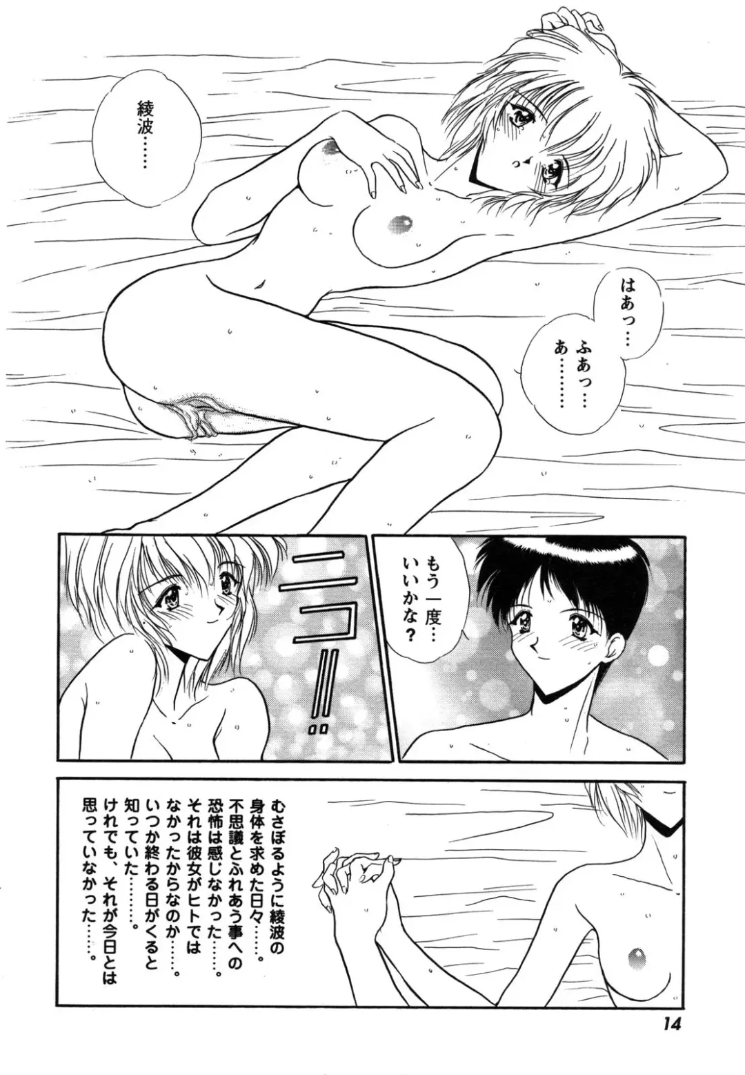 ProjectE Dainiji Chuukanhoukoku Fhentai - Page 14