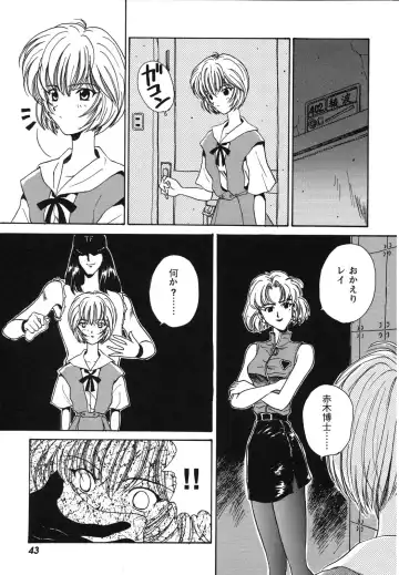ProjectE Dainiji Chuukanhoukoku Fhentai - Page 43