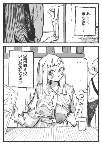 [Boukoku Daitouryou] 露〇お姉さんと勘の良いガ〇 Fhentai - Page 3