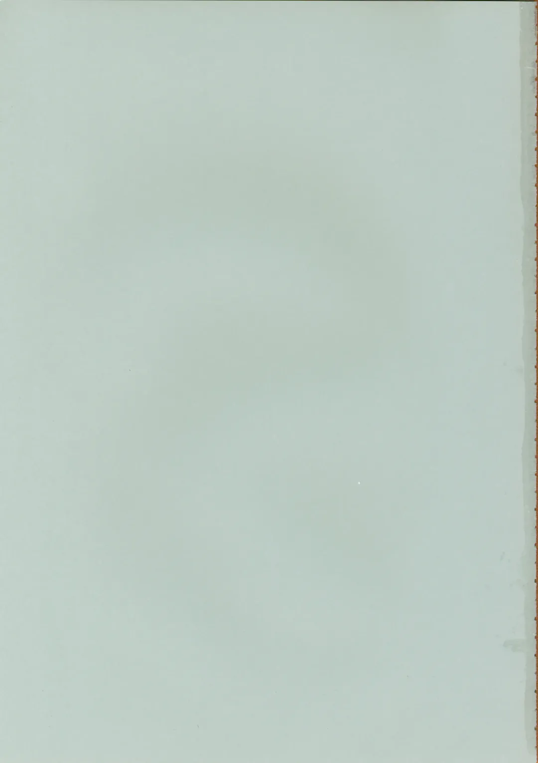 [Tokimachi Eisei] Hakudaku Hime Fhentai - Page 2