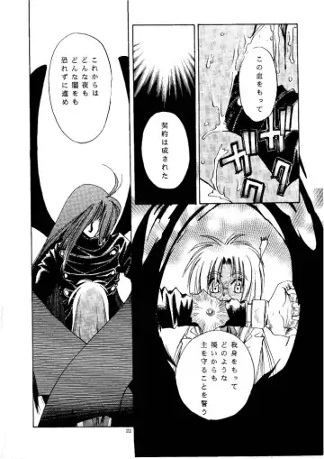 [Suzuki Mira] Zero - Hellsing Fhentai - Page 21