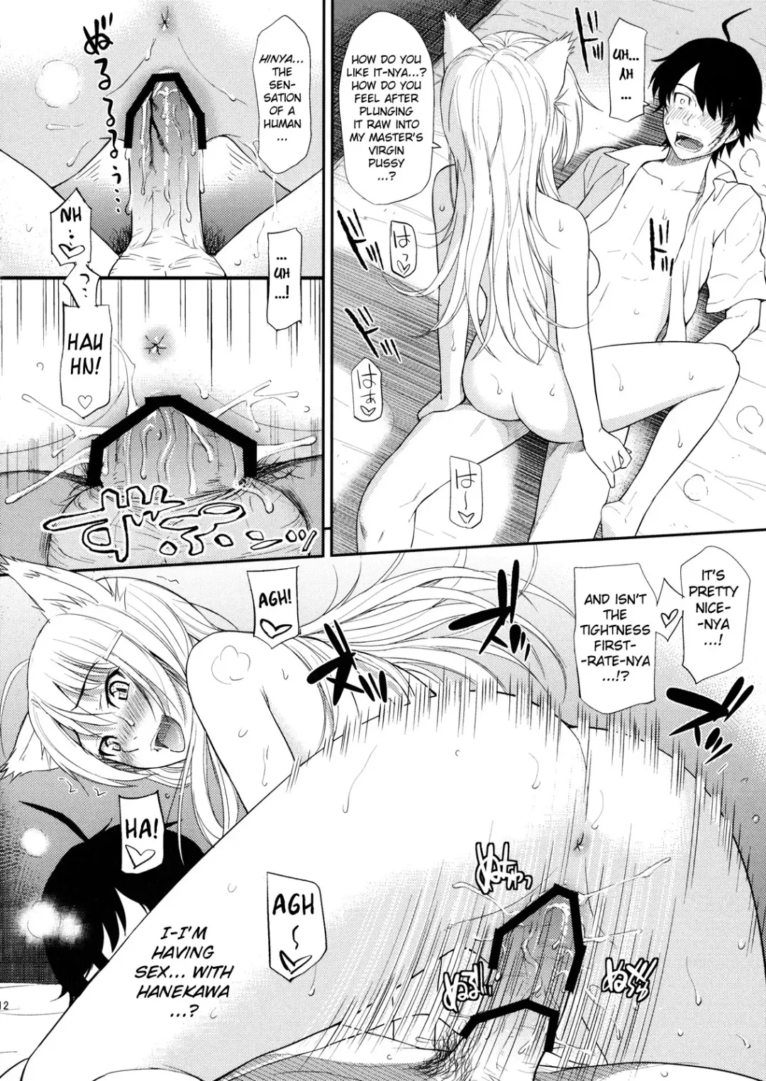 [Homunculus] Bakenekogatari Fhentai - Page 12