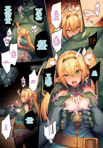 [Morikoke] Chijoku no Mori -Elf Kanraku ｜Violated Woods - The Fall of an Elf - CH. 1-11 Fhentai - Page 18