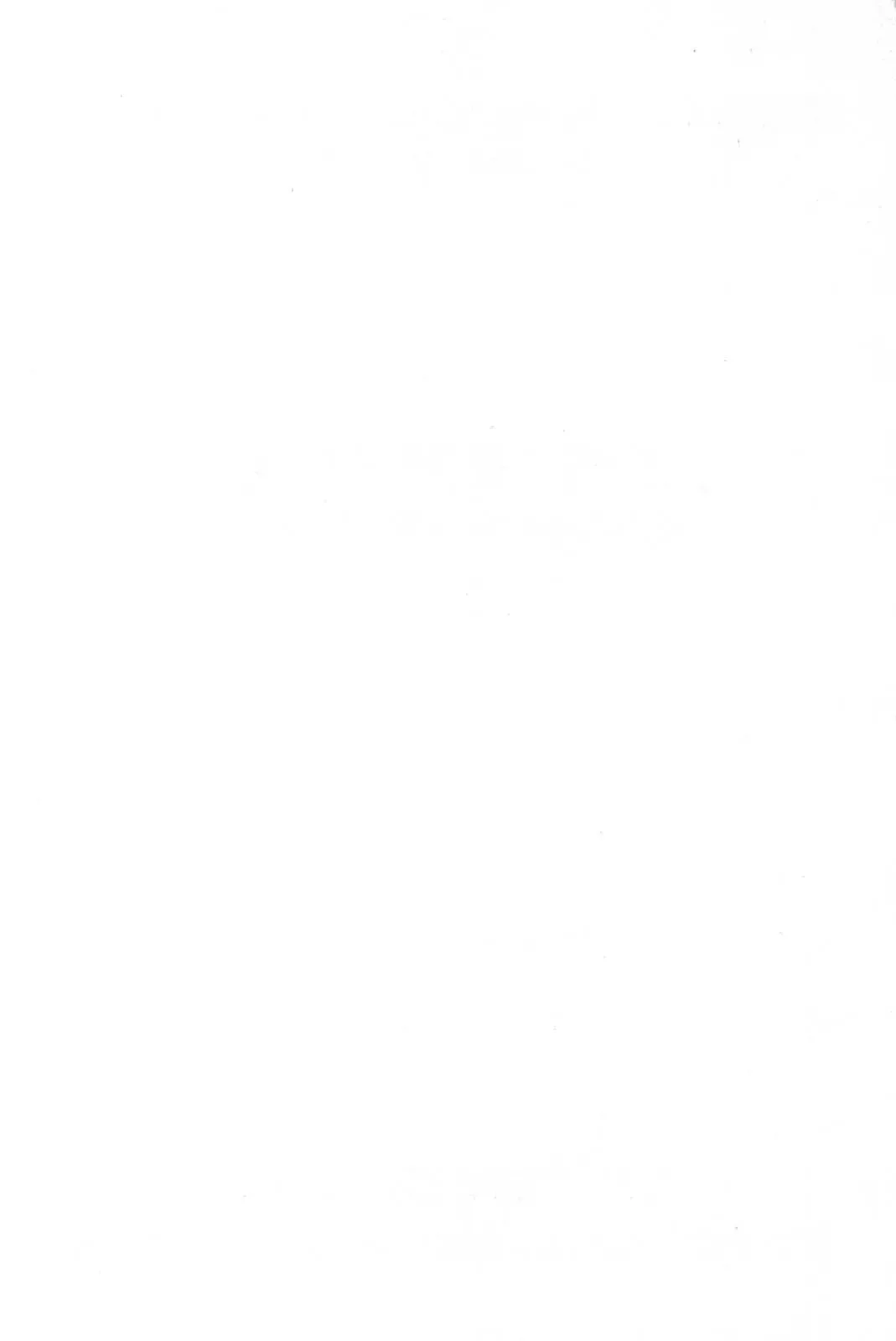 [Watanabe Wataru] Daisuki Minako Sensei! Fhentai - Page 4