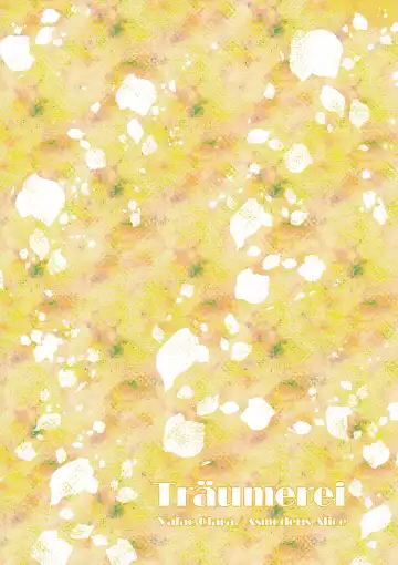 [Traumerei] [Träumerei (J.C.T) Answer Fhentai - Page 30