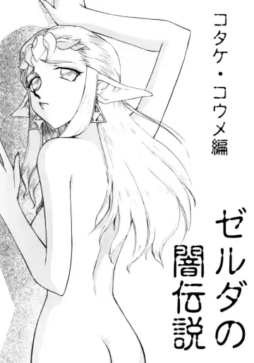 [Taira Hajime] NISE Zelda no Densetsu Shinshou Fhentai.net - Page 6