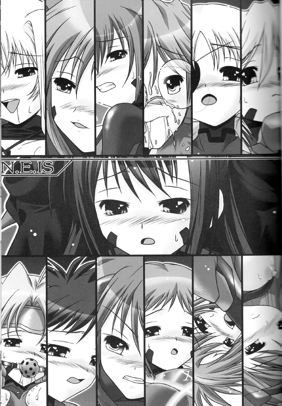 [Ayato] N.E.IS Fhentai - Page 2