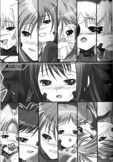 [Ayato] N.E.IS Fhentai - Page 2