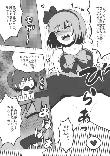 [Kanno Izuka] Touhou Catfight IV Fhentai - Page 5