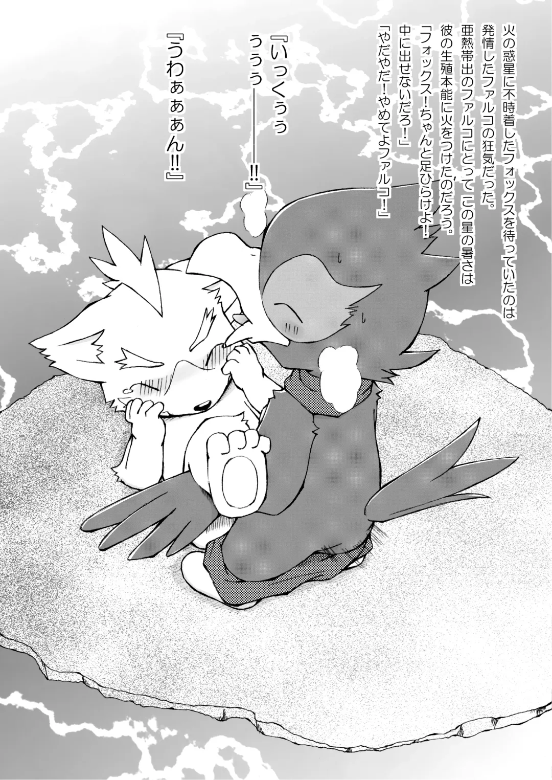 [Ofuro] Falco Fox Fhentai - Page 12