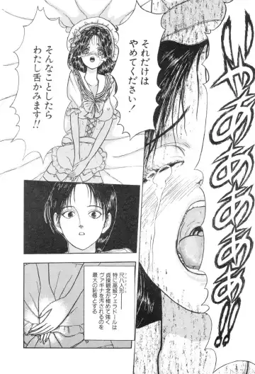 [Fuyu Naga - Mukade Melibe] Baajesu no Otome-tachi Waiwakushia no Akira chapter 1-2 Fhentai - Page 18