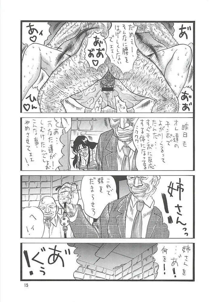 [Inugai Shin] CAT'S HUNTER 2 Fhentai - Page 14