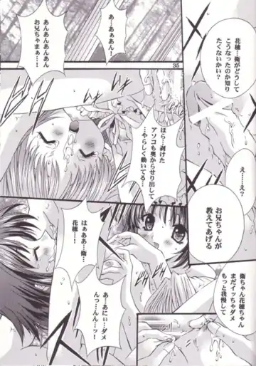 [Nagase Yutaka] 12 imouto junai THE TWELVE HEARTS Fhentai - Page 34