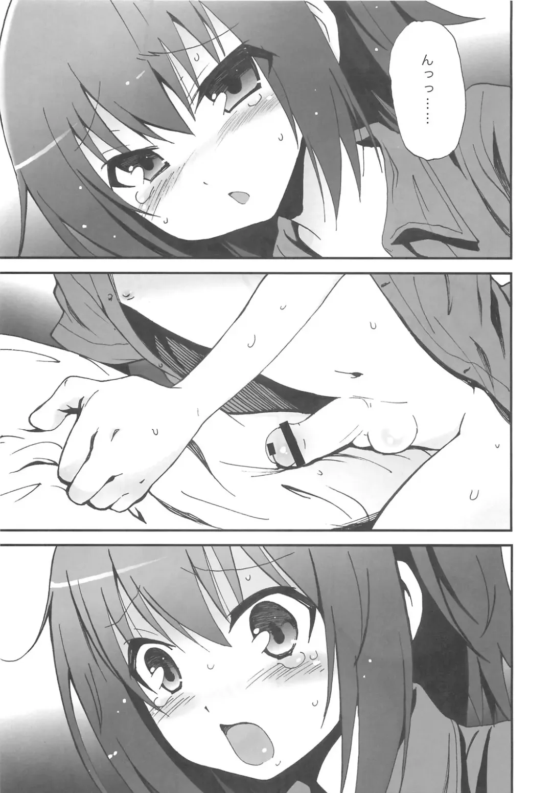 [Plus] Hideyoshi Haitenai Fhentai.net - Page 3