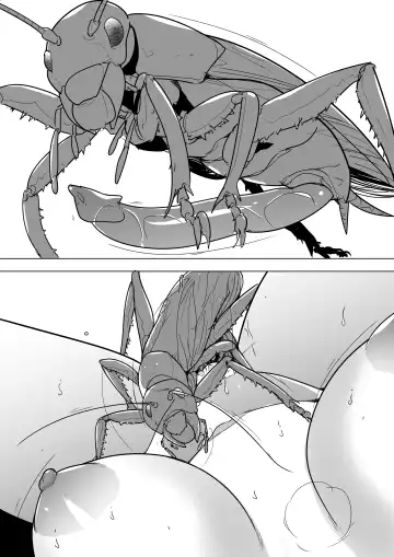 [Chiba Tetsutarou] Misuke's Short Stories 22 - Sasara & Riokku Fhentai - Page 20