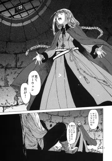 [Heizo - Kitoen] Saint Foire Festival 3 Fhentai - Page 2